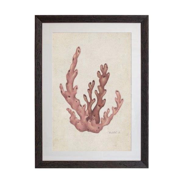 Tablou - Branching Coral - 50 x 70cm - PARIS14A.RO