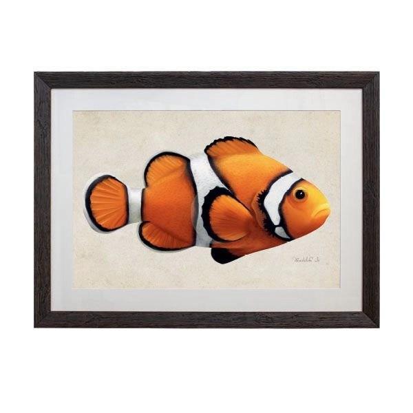 Tablou - Clownfish - 70 x 50 - PARIS14A.RO