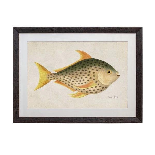 Tablou - Dotted Sunfish - 70 x 50cm - PARIS14A.RO
