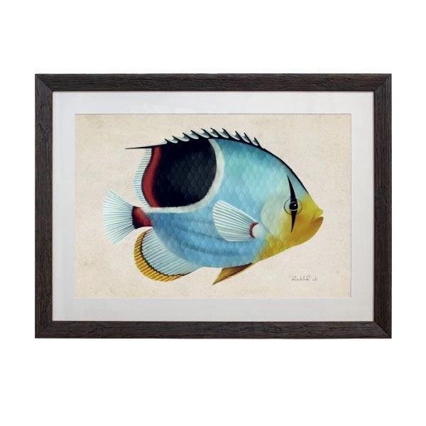 Tablou - Saddie Butterfly Fish - 70 x 50cm - PARIS14A.RO