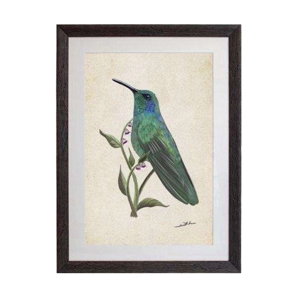 Tablou - Hummingbird - 50 x 70cm - PARIS14A.RO