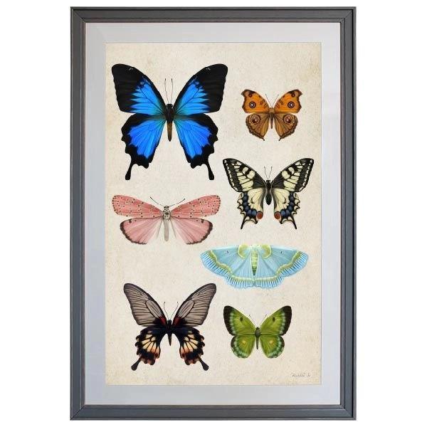 Tablou - Butterfly Effect - 50 x 70cm - PARIS14A.RO