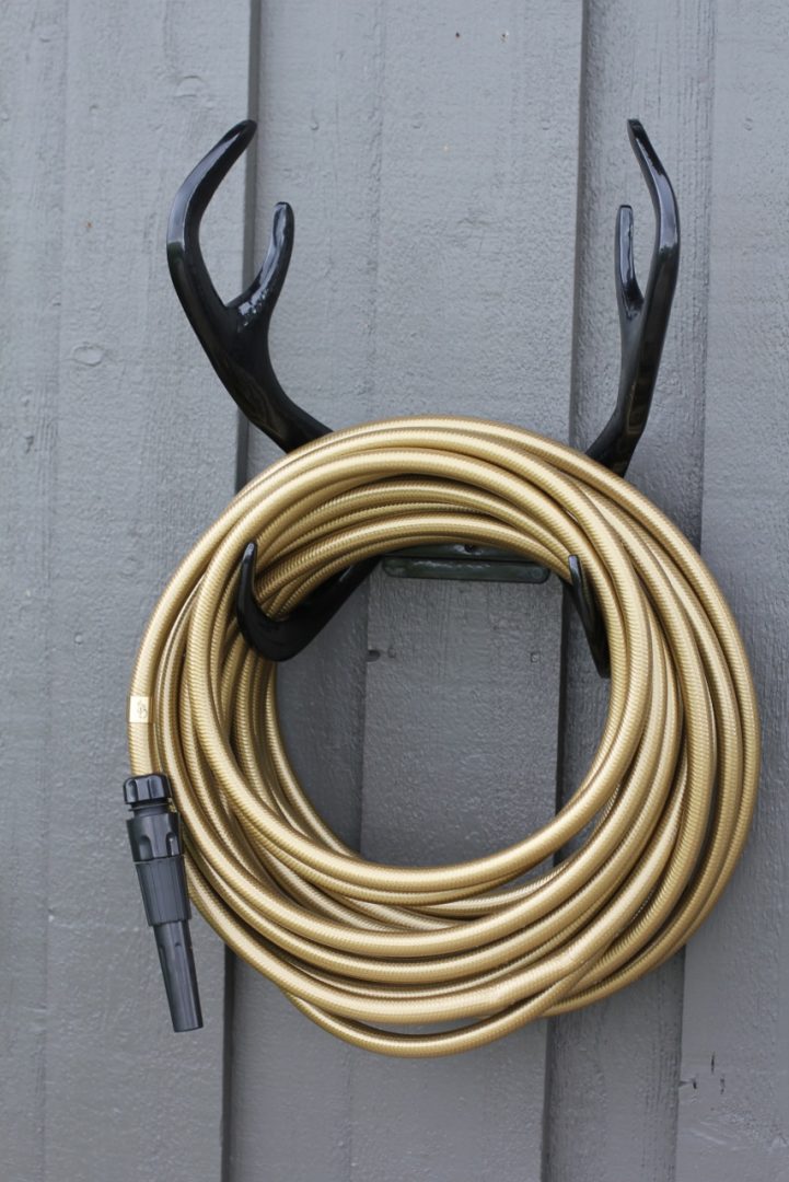 Black-reindeer_gold-hose