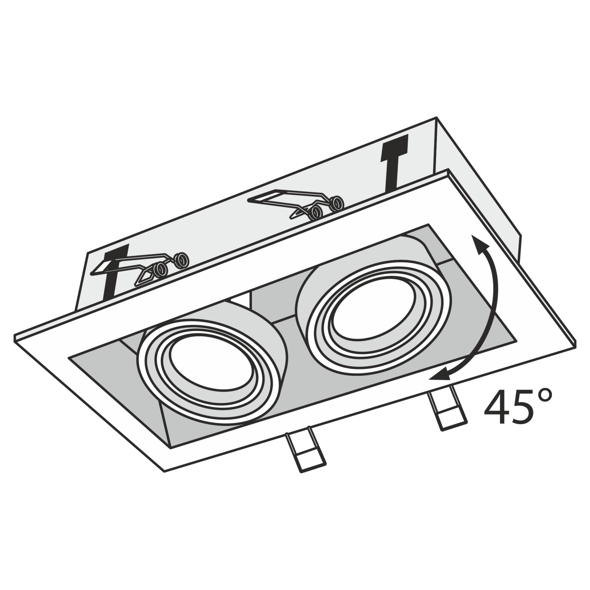 Downlight Metal Modern Maytoni Technical DL008-2-02-B - PARIS14A.RO