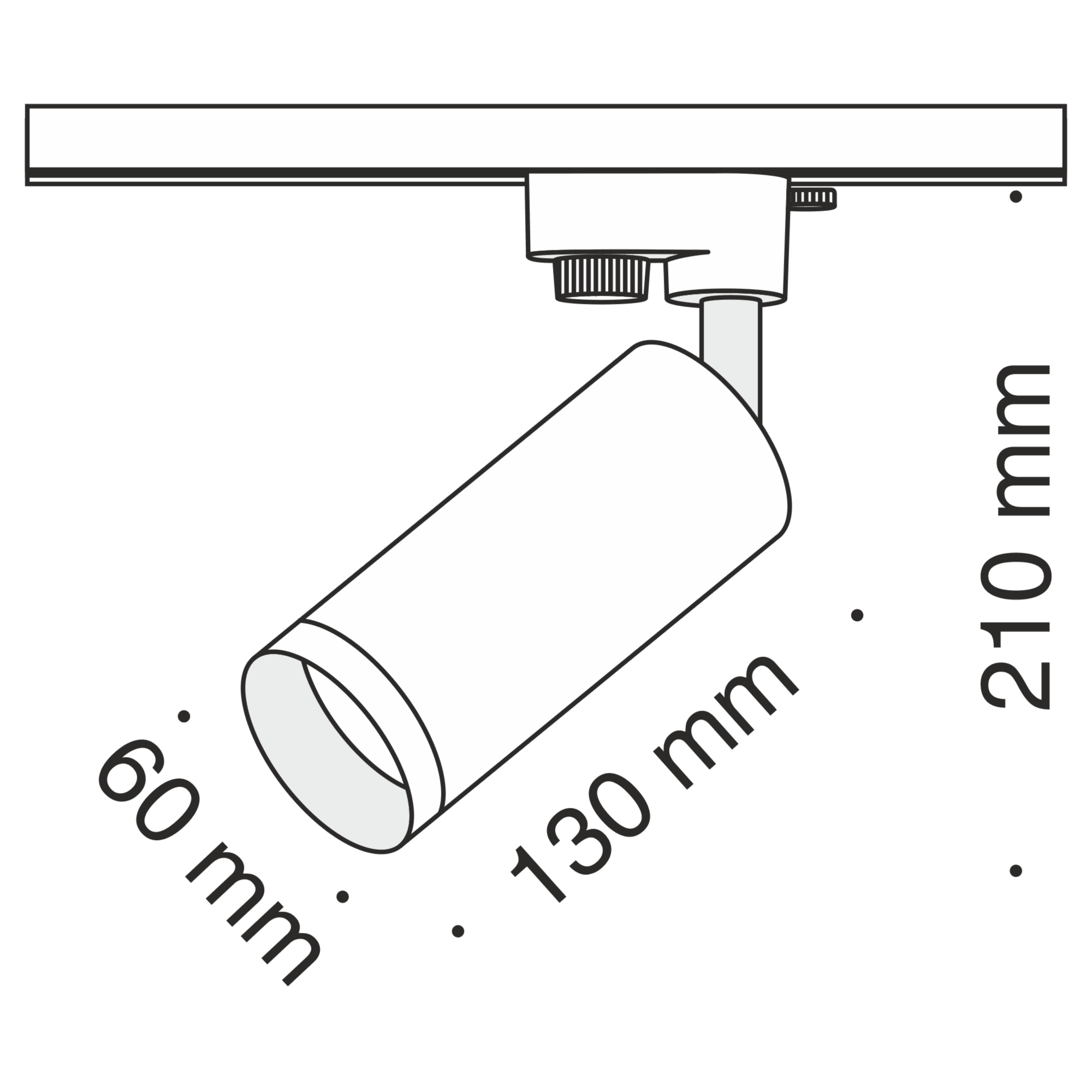 Downlight/ Spot sina Focus Maytoni Technical TR004-1-GU10-B - PARIS14A.RO