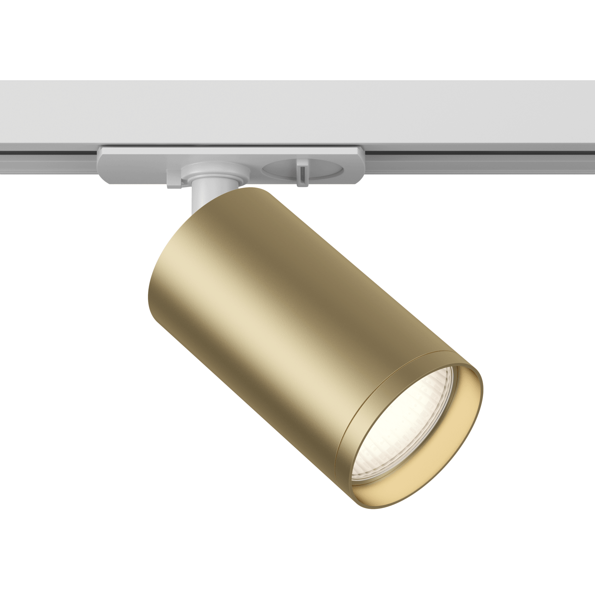 Downlight/ Spot sina FOCUS S Maytoni Technical TR020-1-U-GU10-WMG - PARIS14A.RO