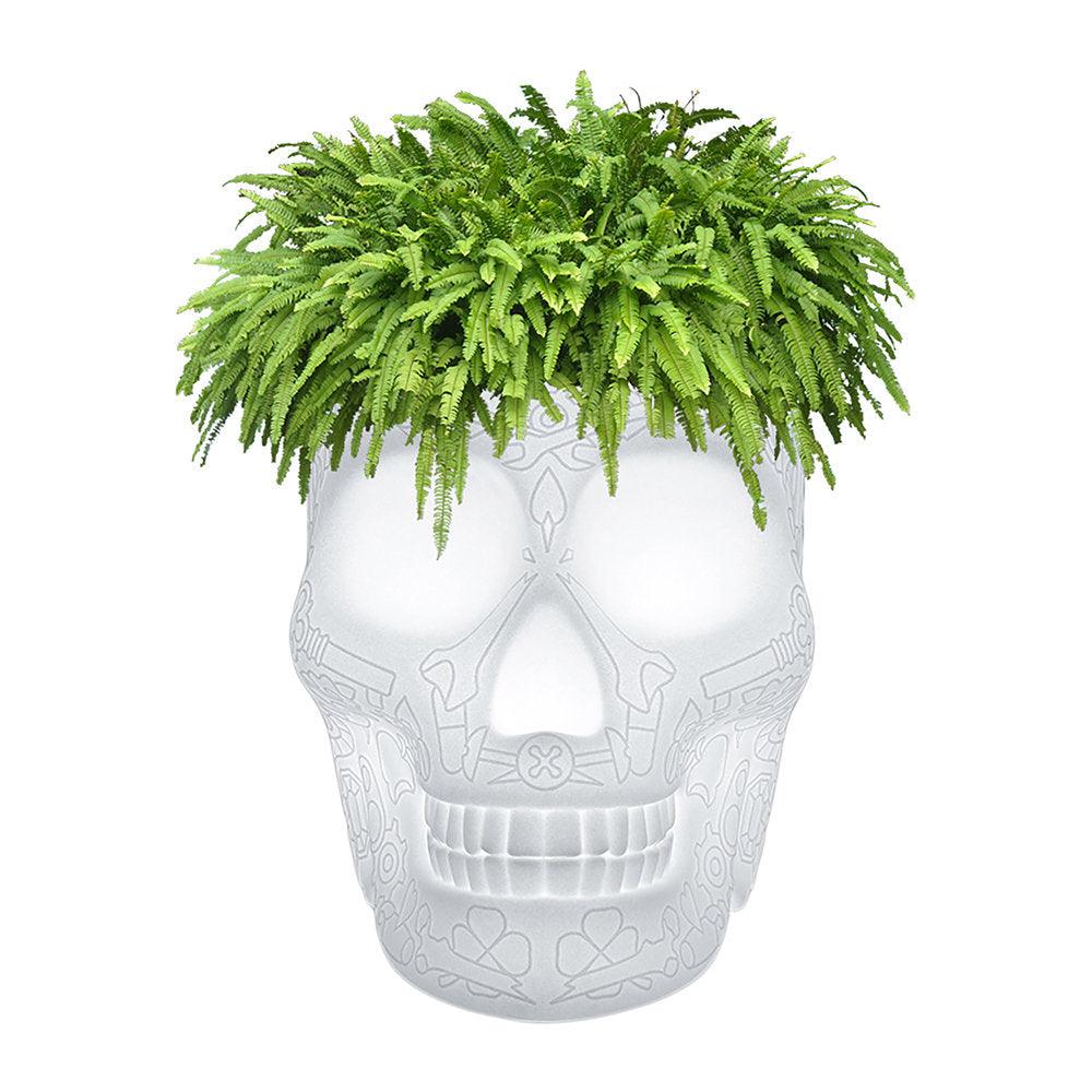 Jardiniera / racitor sampanie cu LED pentru exterior Mexico Skull LED Outdoor Planter - PARIS14A.RO