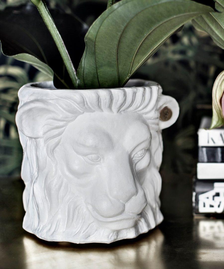 lion-pot-white-small-expo