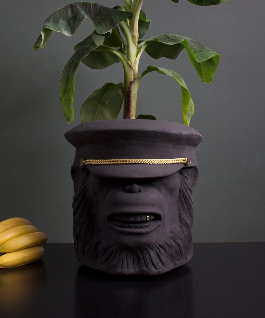 monkey-face-pot-expo